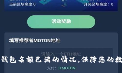 如何应对TP钱包名额已满的情况,保障您的数字资产安全