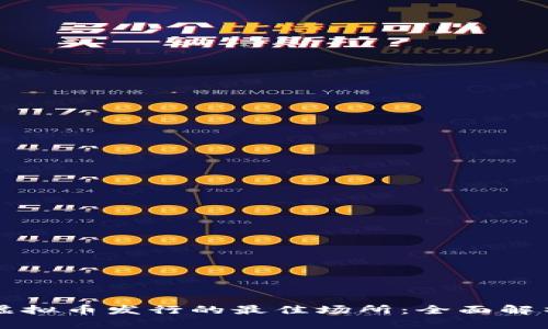 虚拟币发行的最佳场所：全面解析