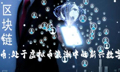 梦幻币：处于虚拟币浪潮中的新兴数字资产