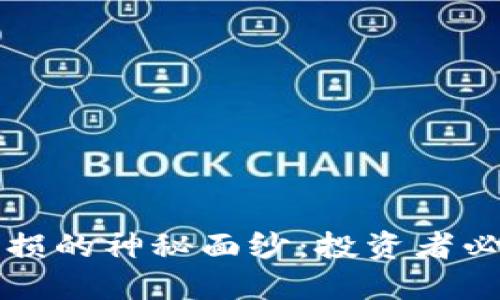 揭开虚拟币净值磨损的神秘面纱：投资者必须了解的关键因素