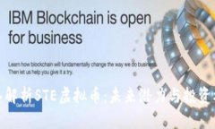 深入解析STE虚拟币：未来