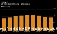 2023年重磅虚拟币展望：潜