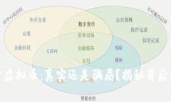 微积分虚拟币：真实还是