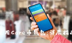 如何安全地使用Core币钱包
