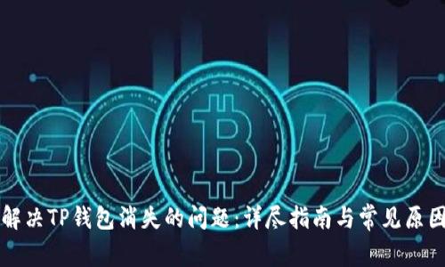 如何解决TP钱包消失的问题:详尽指南与常见原因分析