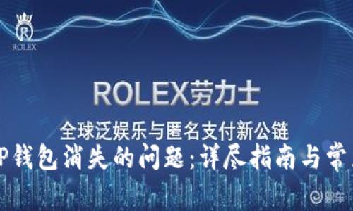 如何解决TP钱包消失的问题:详尽指南与常见原因分析