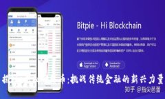 揭秘e虚拟网络币：挑战传