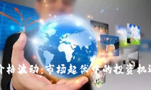 虚拟币价格波动:市场起伏中的投资机遇与风险