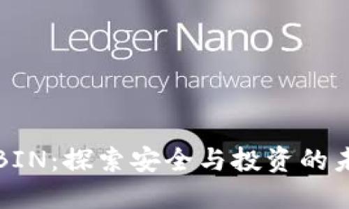 虚拟币BIN:探索安全与投资的未来之路