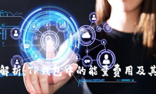 深入解析:TP钱包中的能量费用及其影响