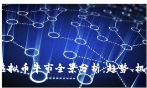 2023年虚拟币牛市全景分析:趋势、机会与风险