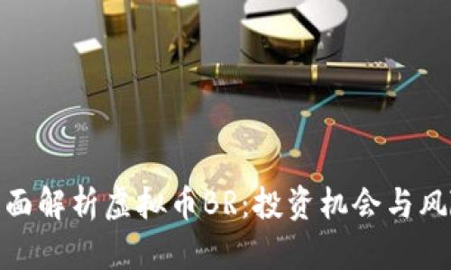 全面解析虚拟币BR:投资机会与风险