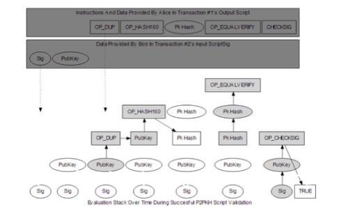 探索TP钱包的魅力与实用性:对比Pig Wallet,助你轻松管理数字资产