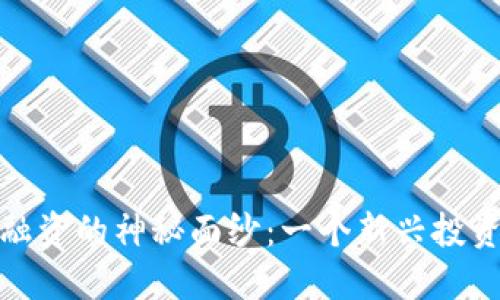 揭开虚拟币发行融资的神秘面纱：一个新兴投资领域的全景揭秘