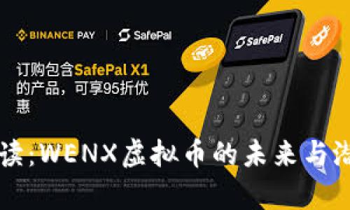 深度解读:WENX虚拟币的未来与潜力分析