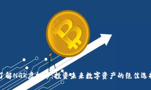 了解NGK虚拟币:投资未来数字资产的绝佳选择