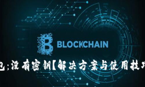 TP钱包:没有密钥?解决方案与使用技巧详解