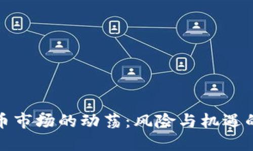 韩国虚拟币市场的动荡:风险与机遇的双重考验