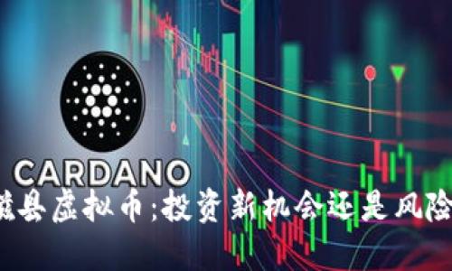 邯郸磁县虚拟币:投资新机会还是风险之海?