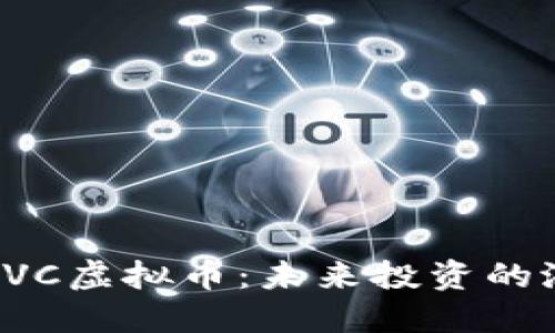 深入了解DVC虚拟币：未来投资的潜力和机会