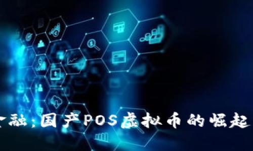 未来金融：国产POS虚拟币的崛起与发展