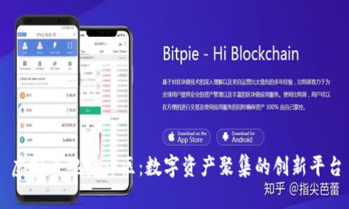 虚拟币鲲鹏社区：数字资产聚集的创新平台