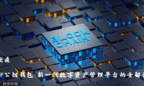 优质

TP公链钱包：新一代数字资产管理平台的全解读