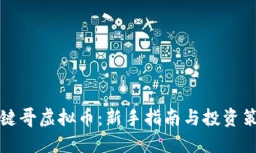 一键哥虚拟币:新手指南与投资策略