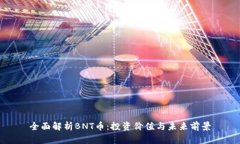 全面解析BNT币：投资价值与未来前景