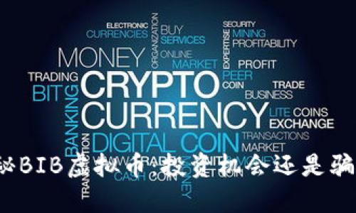 探秘BIB虚拟币:投资机会还是骗局?