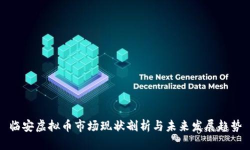临安虚拟币市场现状剖析与未来发展趋势