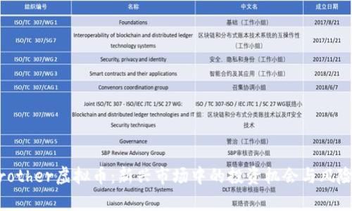CCBrother虚拟币:新兴市场中的投资机会与风险分析