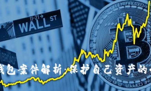 虚拟币钱包案件解析:保护自己资产的必备知识