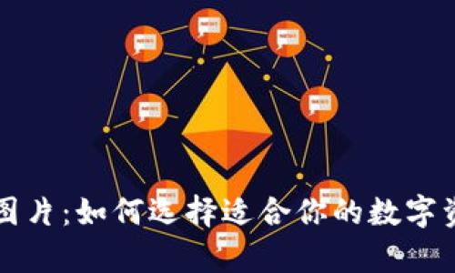 虚拟币钱包图片：如何选择适合你的数字资产存储方案