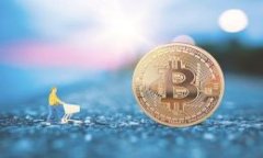 揭开虚拟币骗局的面纱：一个全方位图解和深度